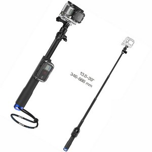 SP REMOTE POLE-39